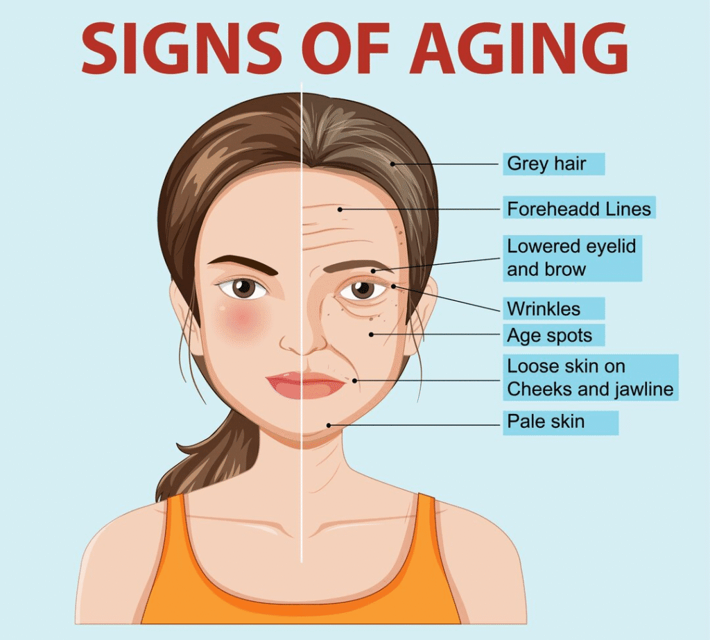 Signs of anti-aging