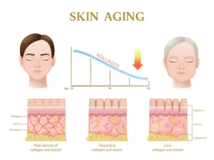 Read more about the article Best Anti-Aging Skincare: झुर्रियों और ढीली त्वचा को कम करने का आसान उपाय (2025 Guide)