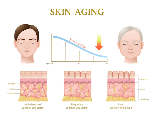 Read more about the article Best Anti-Aging Skincare: झुर्रियों और ढीली त्वचा को कम करने का आसान उपाय (2025 Guide)