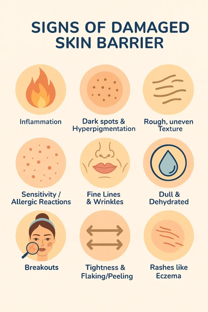 Skin barrier damage cause