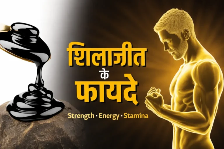 शिलाजीत के फायदे हिंदी
