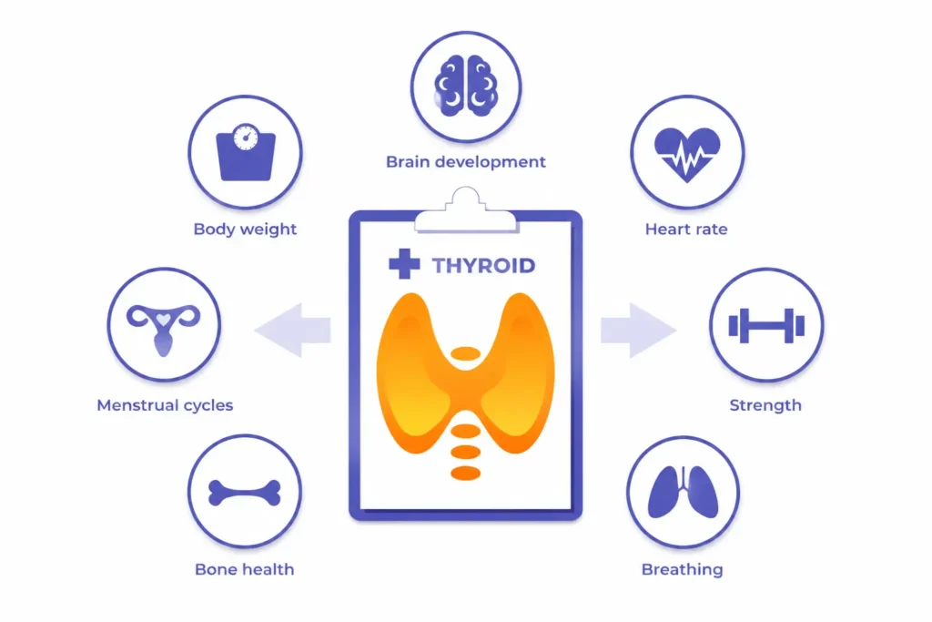थायराइड में क्या खाएं क्या ना खाएं: 7 biggest mistakes भूल के भी मत करें (Proven Guide 2026) 3 Thyroid symptoms