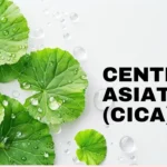 Centella Asiatica cica