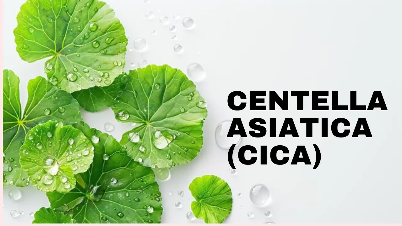 Centella Asiatica cica