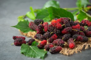 Mulberry for dark spots and pigmentation 