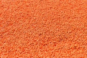 Red lentils for dark spot